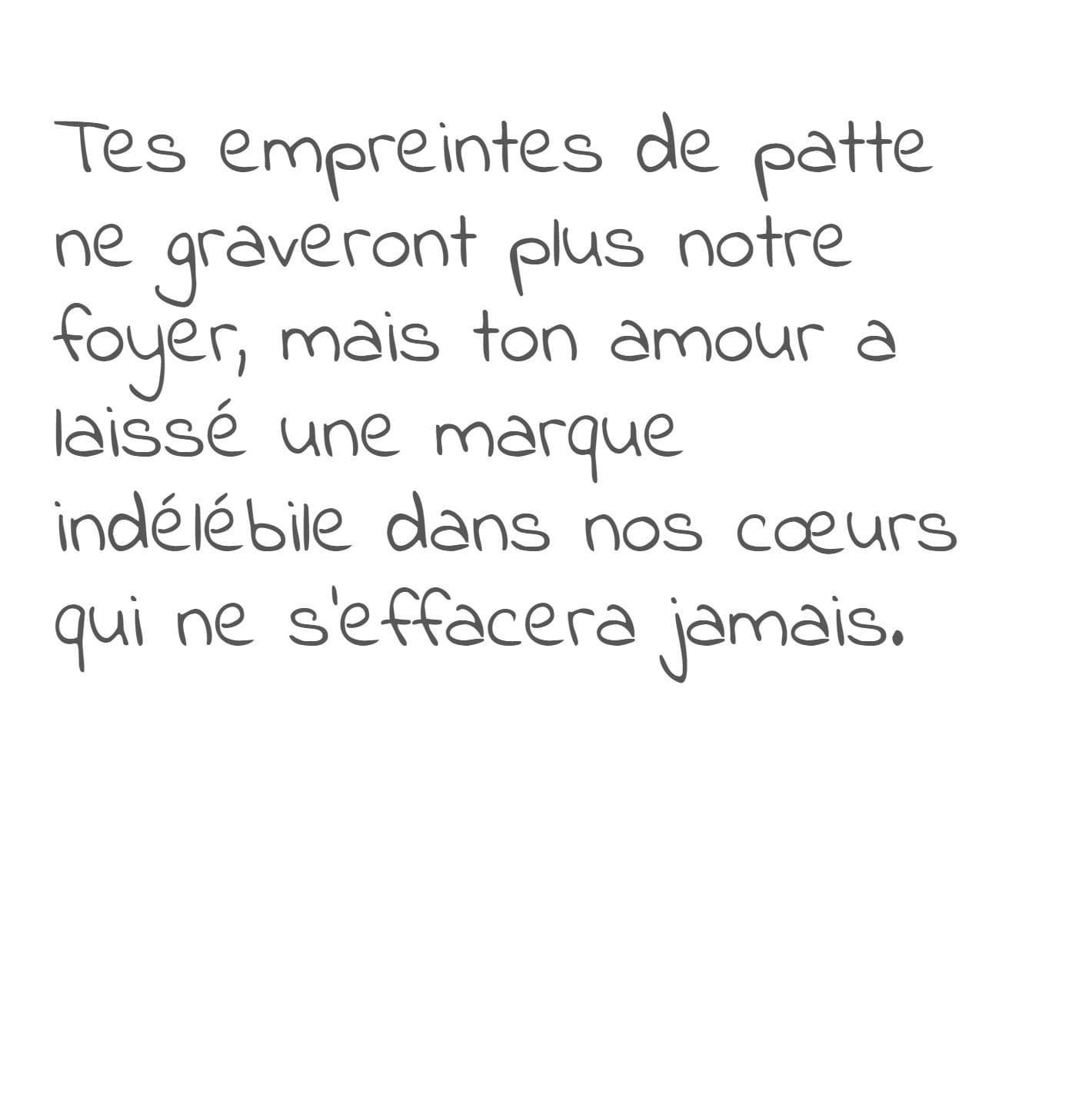 Page 3 carte 14