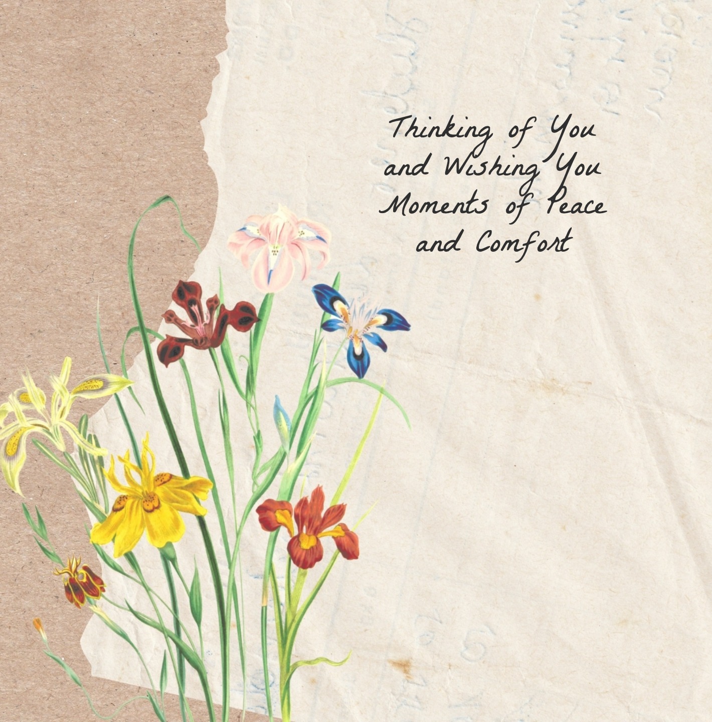 Non-religious condolence card with respectful tone