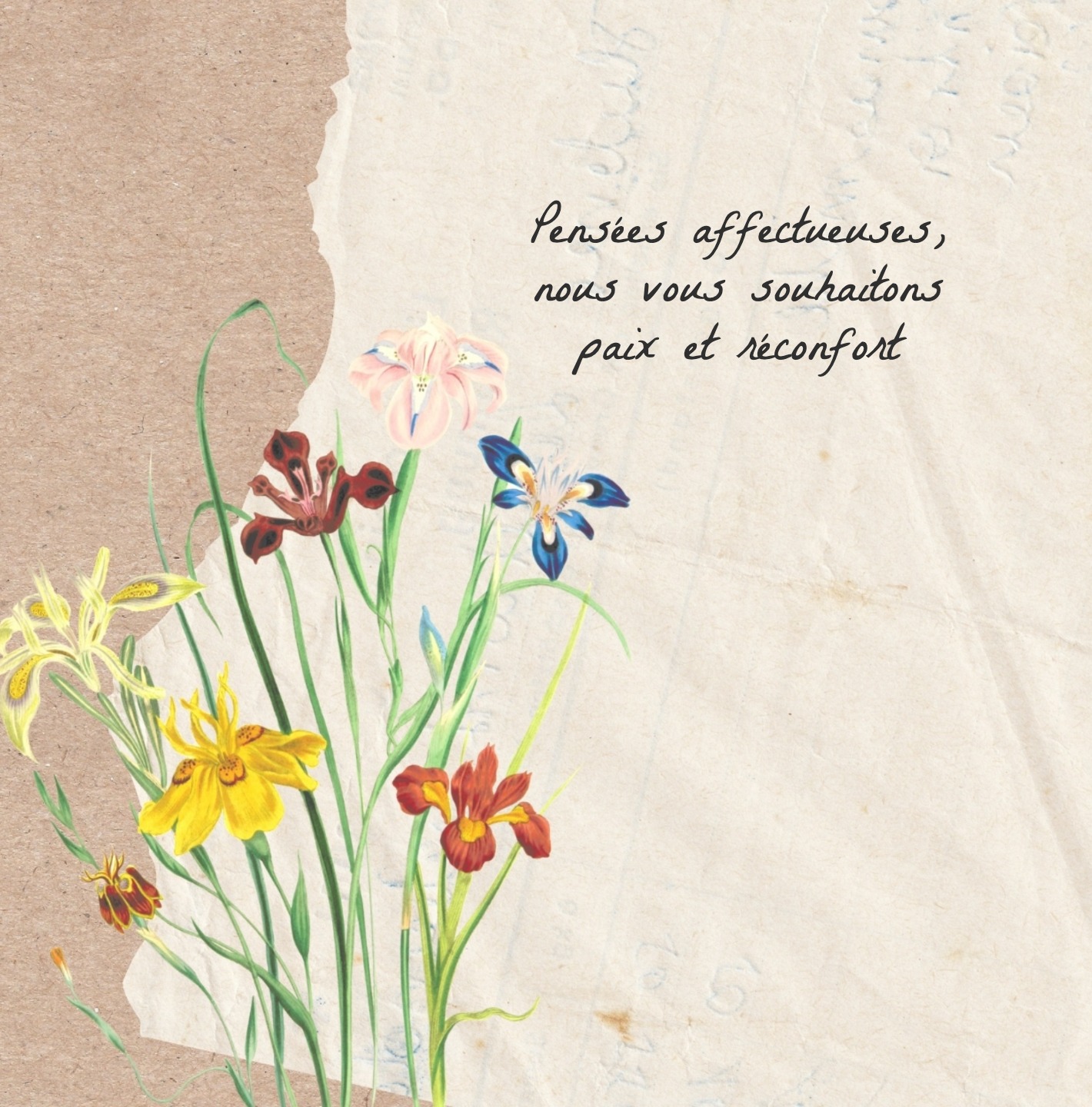 Carte neutre, sans symbole religieux, avec ton respectueux