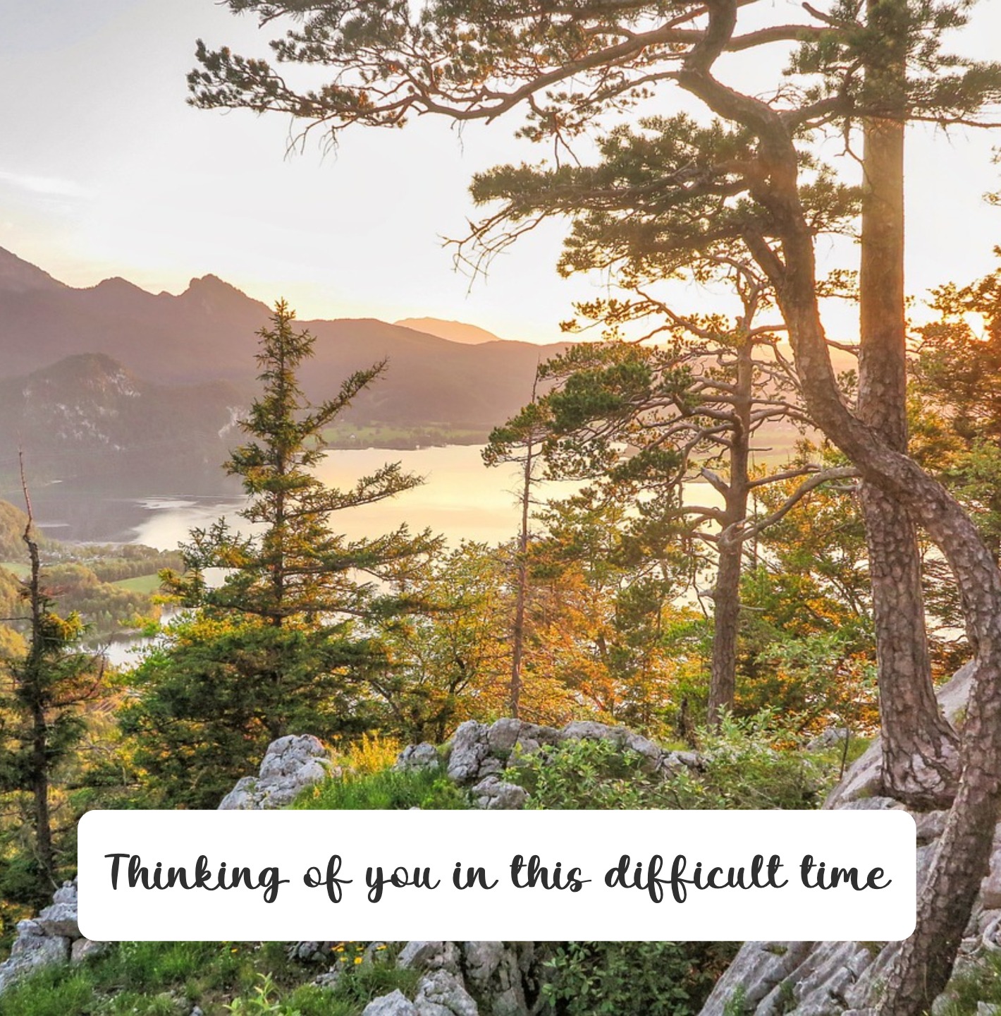 Soothing landscape sympathy card with message of support