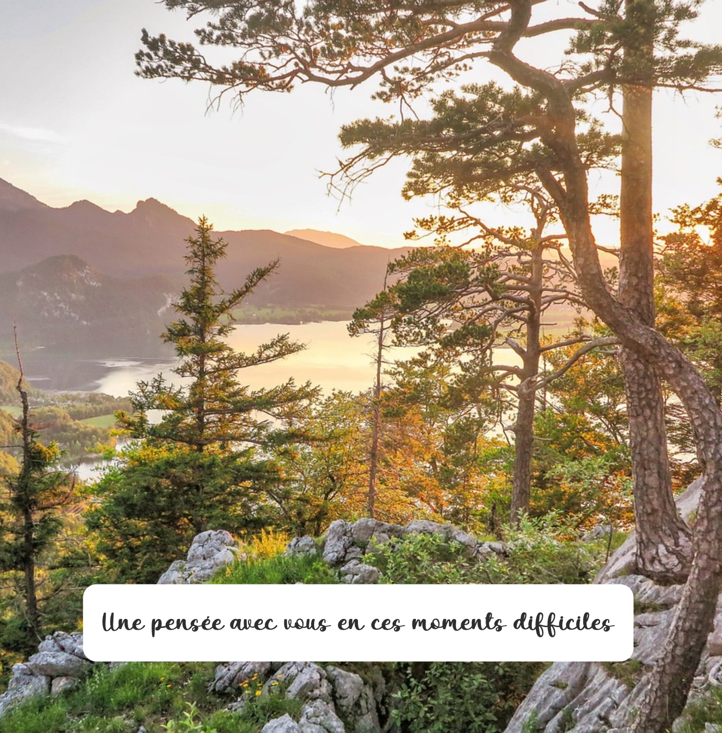 Carte douce avec paysage apaisant et message de soutien