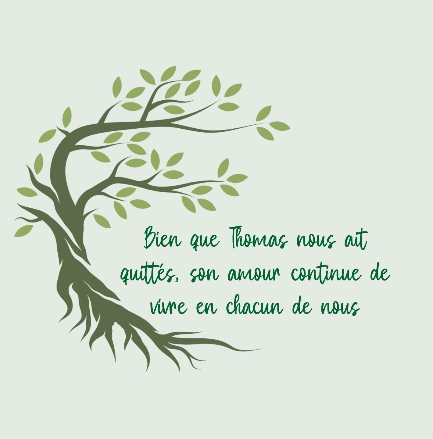 Illustration d’un arbre fin et message de cycle et continuité
