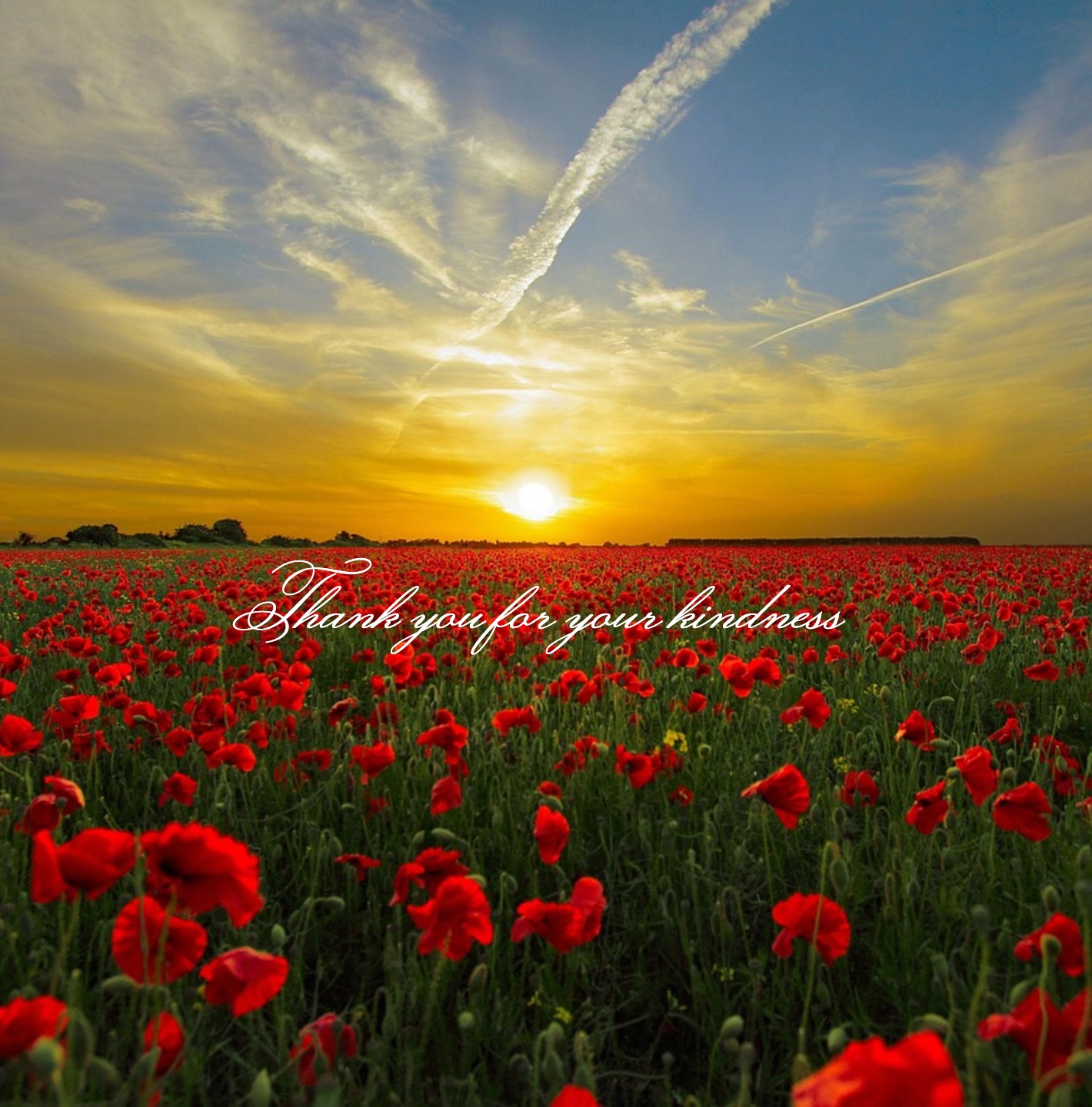Funeral thank you card with soft background and gratitude words