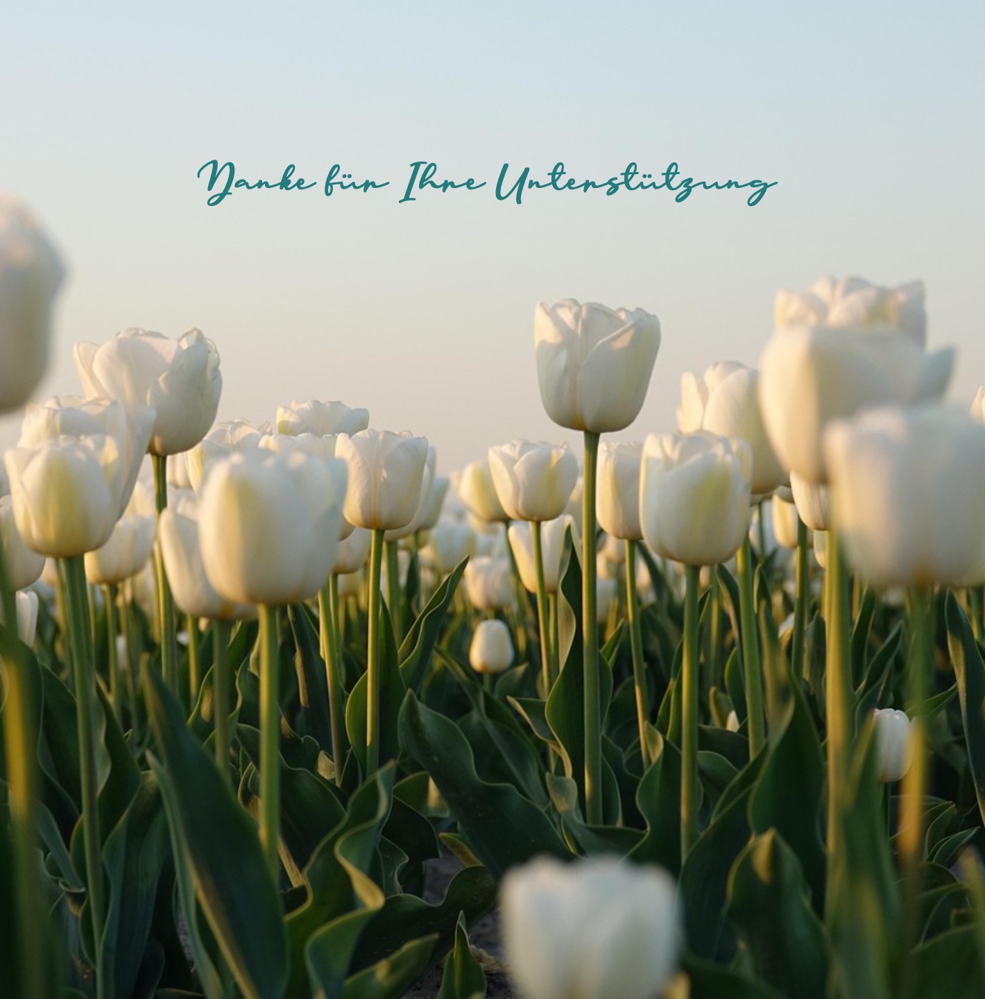 Trauer-Danksagungskarte mit schlichtem Text und hellem Hintergrund