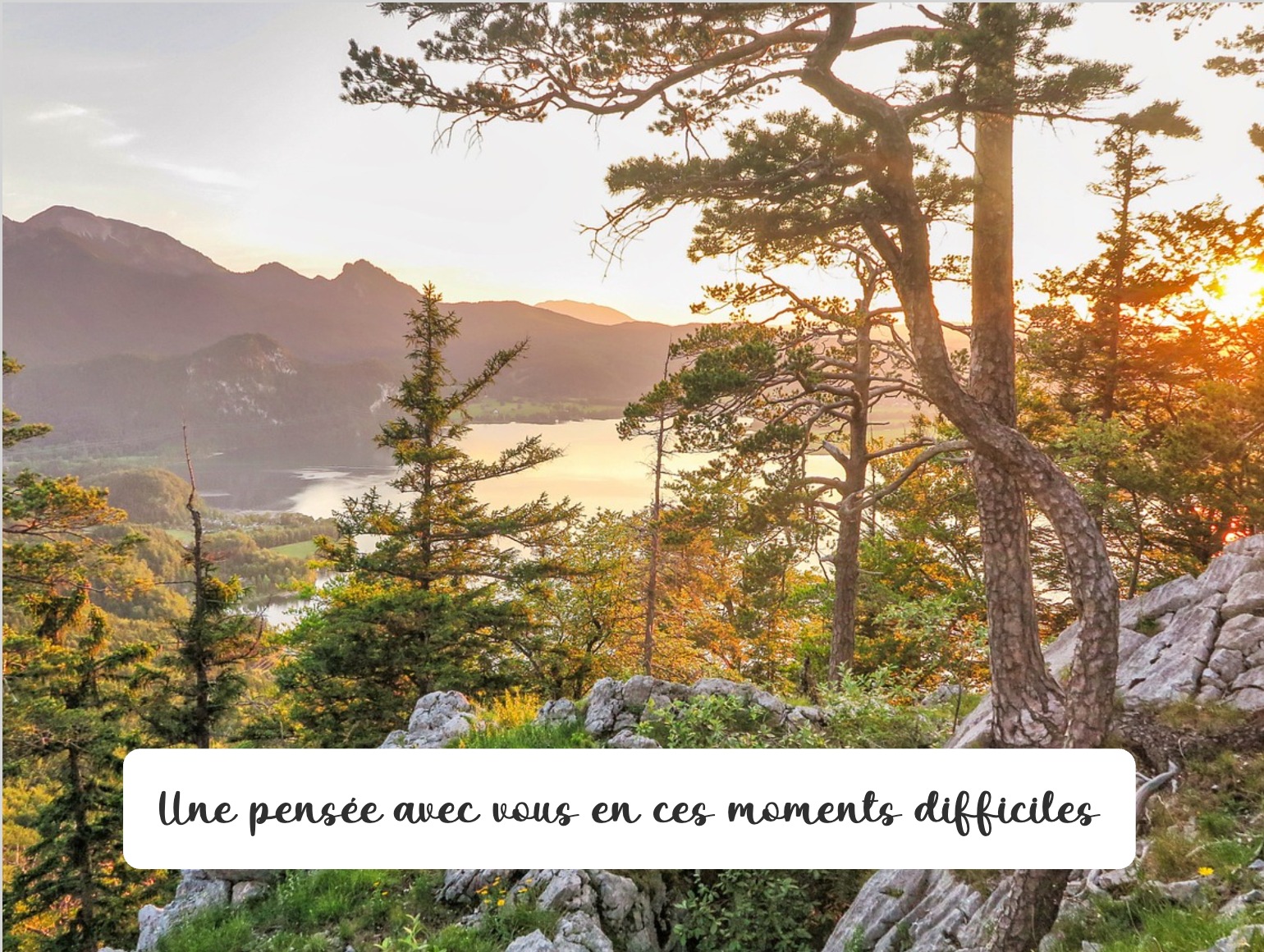 Carte douce avec paysage apaisant et message de soutien
