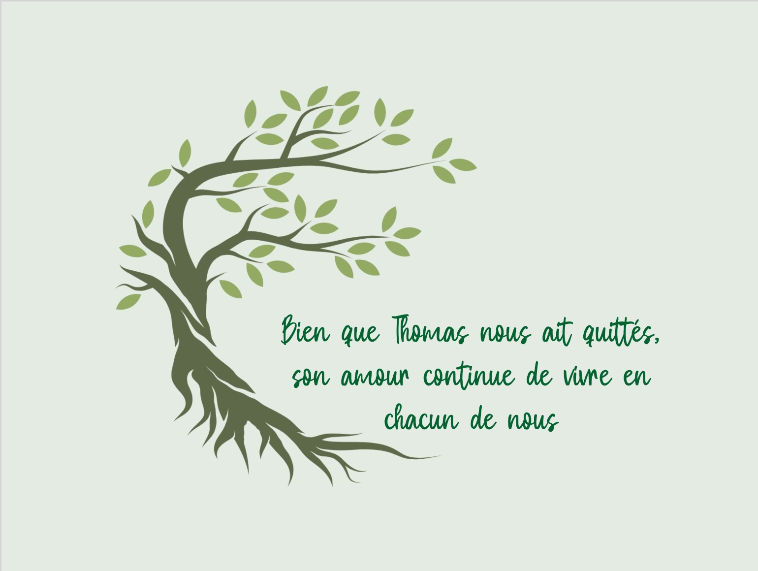 Illustration d’un arbre fin et message de cycle et continuité